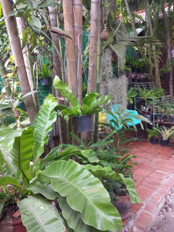Hostel Chom Chan &